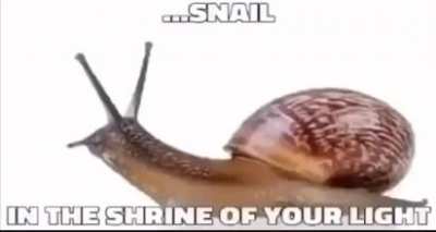 Snurch 