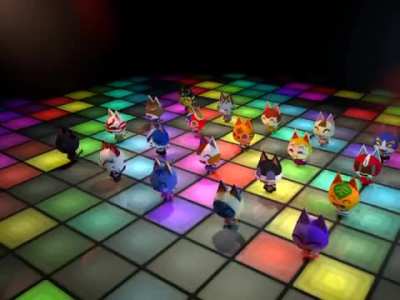 Cat Groove
