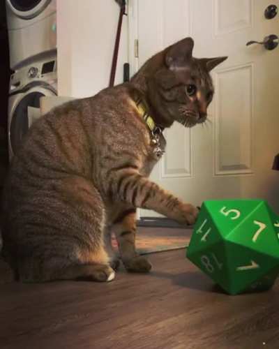 SIC rolls for initiative