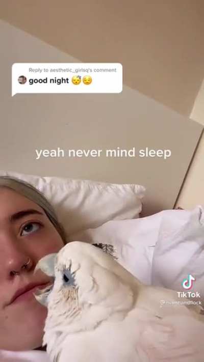 Good night
