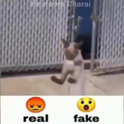 very real