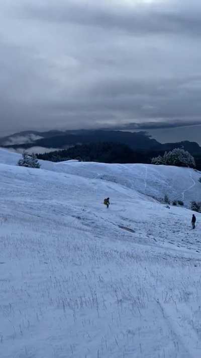 Fresh powder day in the bay??