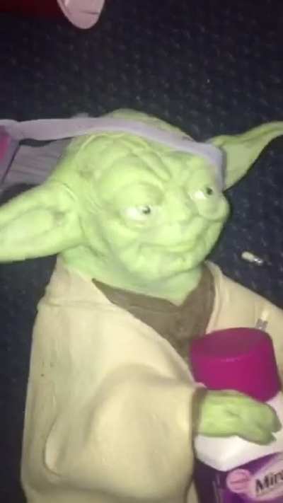 Yoda is not a good houseguest