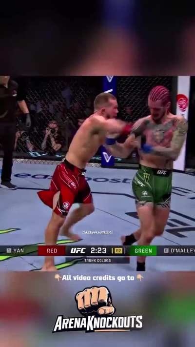 UFC 280: YAN vs. O'MALLEY