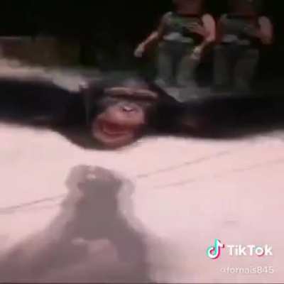 Monkei