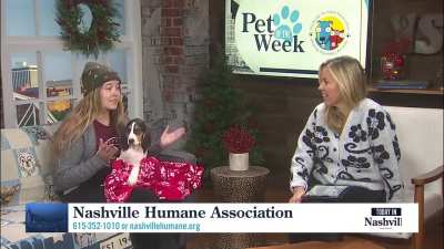 Today In Nashville. WSMV4 TV. December 2nd 2025