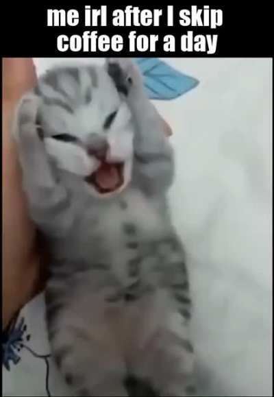 nooo-