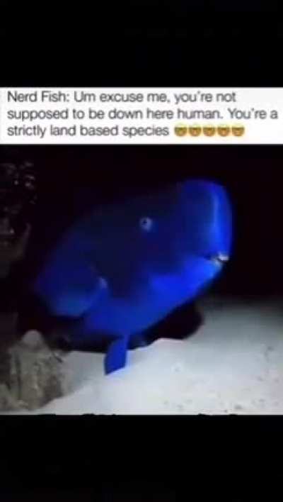 booger doo doo sex