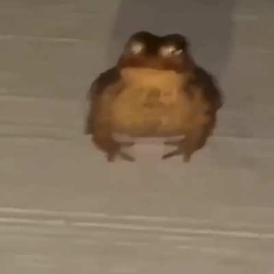 Aww