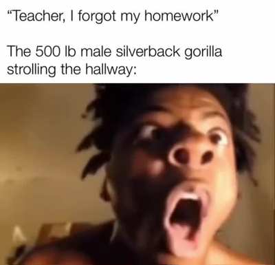 🗿