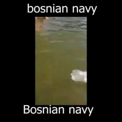 cope cringe serboids 🇧🇦🇧🇦💪💪 bosnia superpwoer by 2030 💪🇧🇦