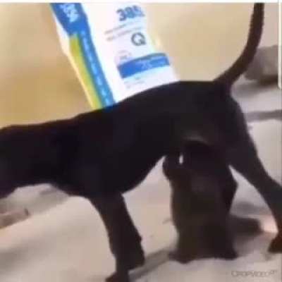 Hmmmmm