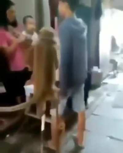 a very important video