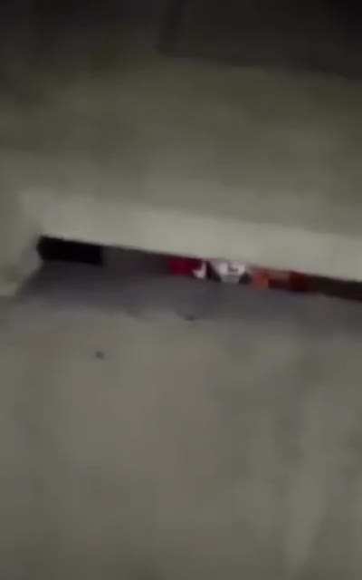 IT the deleted Scene