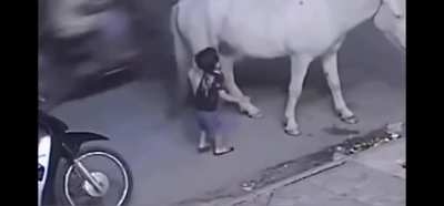 Dont mess with a horse after it gave you a warning