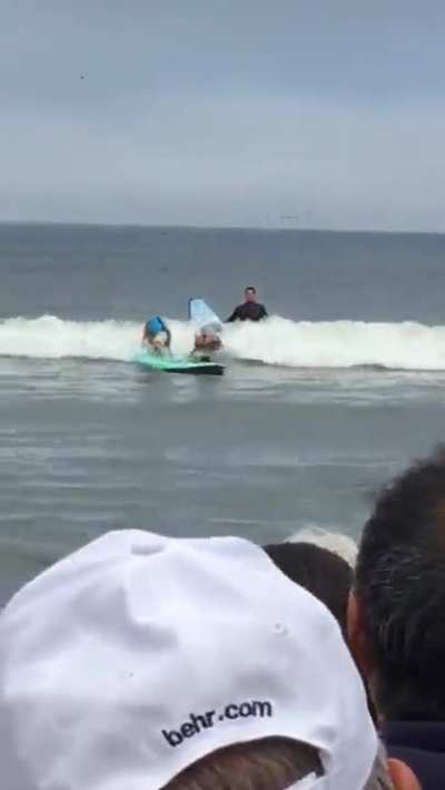 Surfer Dogs On A Collision Course