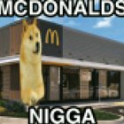 le shibba has arrived
