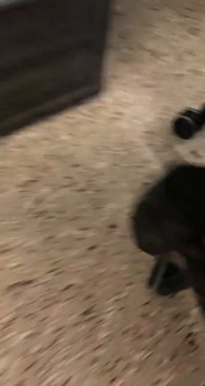 Not today!