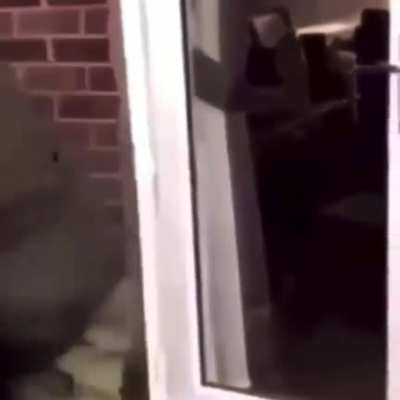Punk gets beat up after admitting he hit friends sister