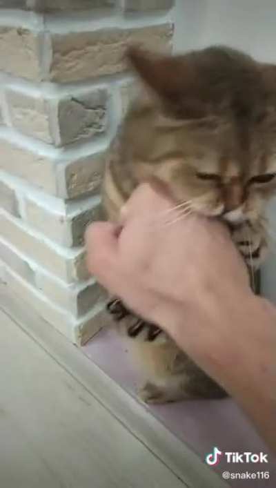 Katrate