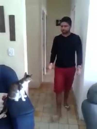 This is one chillin cat.
