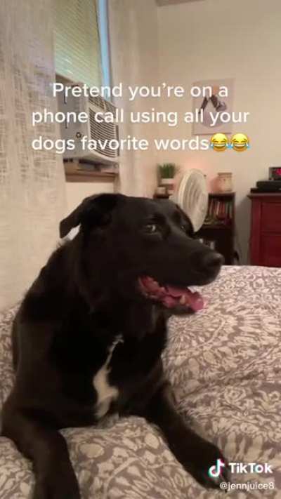 Using their pets favorite word.