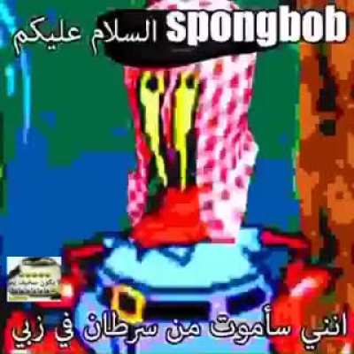 اMr. Krabs 320pلجهاد
