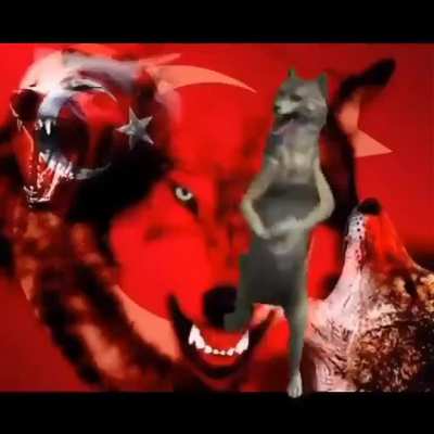 AS ULAN BAYRAKLARI TÜRKİYE AVRUPA 1.si 🇹🇷🇹🇷🇹🇷🇹🇷