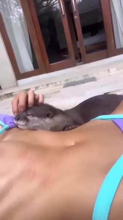 OMG