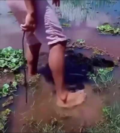 Would you step on that?  