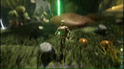 Perfectly Cut Ark Clip