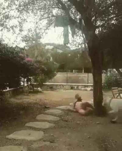 Друг челов<wbr>ека