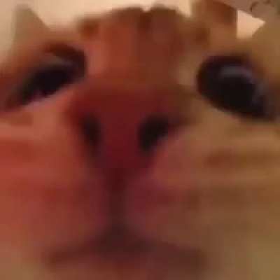 ♡♡♡♡