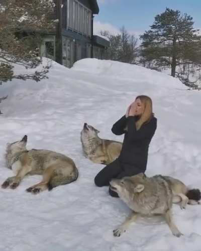 Waking up the pack: