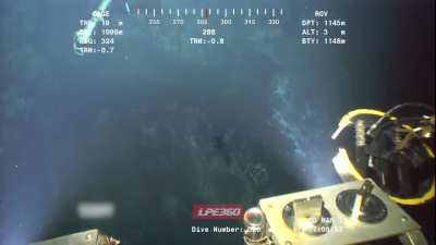 This Alien Show Deep in the ocean. Source: YT