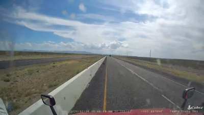 Steer Blowout 