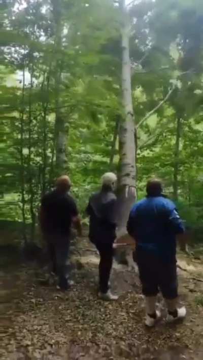Tree bust