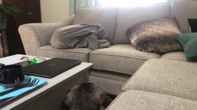 HMK while I escape this blanket