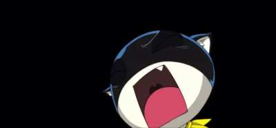 gato sexo