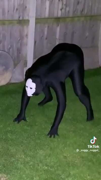 What is this