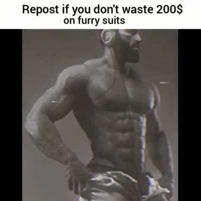 No furry