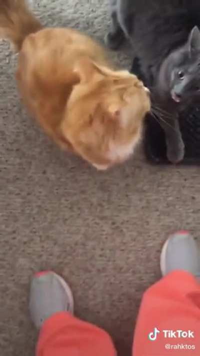 😂
