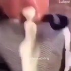 Mulai 🤤😌 vídeo de risa terror digital