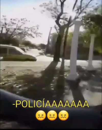 bicicogido