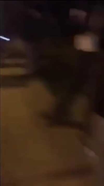 they beatin' up every white person