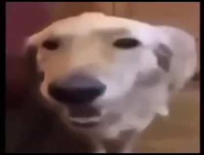 🧈