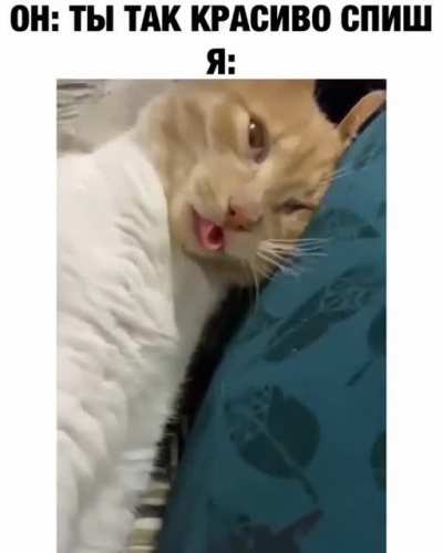 Спящая краса<wbr>вица