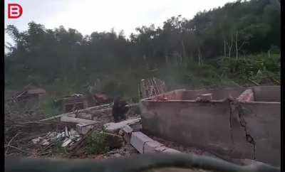 Taking down a wall...or two.