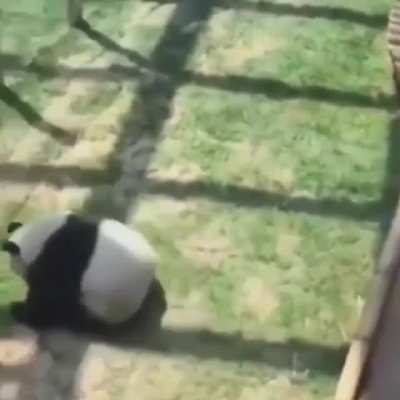 wheeeeeeeee