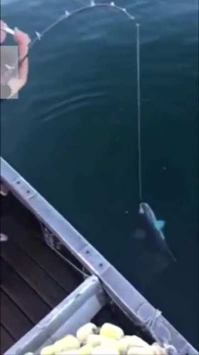 Fishing with Libright
